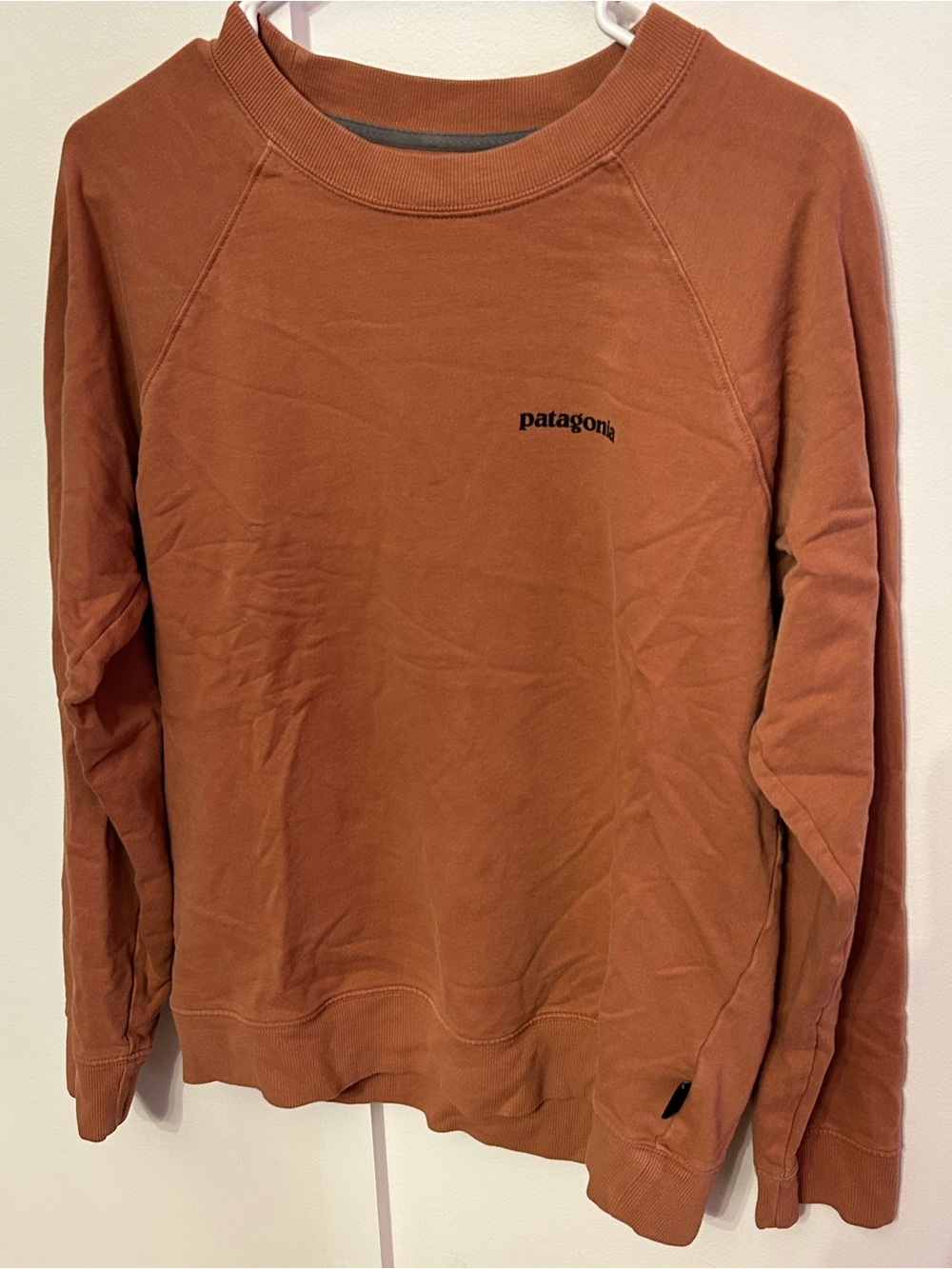 Patagonia Organic Cotton Burnt Sienna Crewneck Pullover